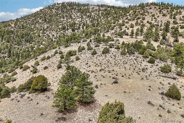 257 Wildlife Trail Idaho Springs, CO 80452