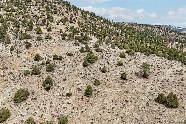 257 Wildlife Trail Idaho Springs, CO 80452