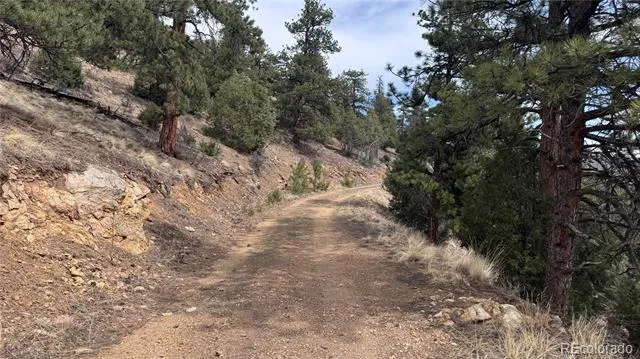 257 Wildlife Trail Idaho Springs, CO 80452
