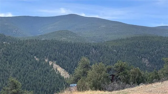 257 Wildlife Trail Idaho Springs, CO 80452