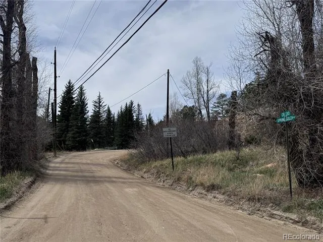 257 Wildlife Trail Idaho Springs, CO 80452