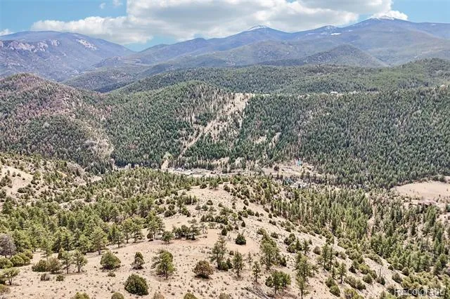 257 Wildlife Trail Idaho Springs, CO 80452