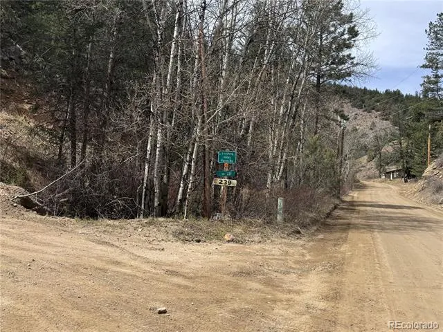 257 Wildlife Trail Idaho Springs, CO 80452