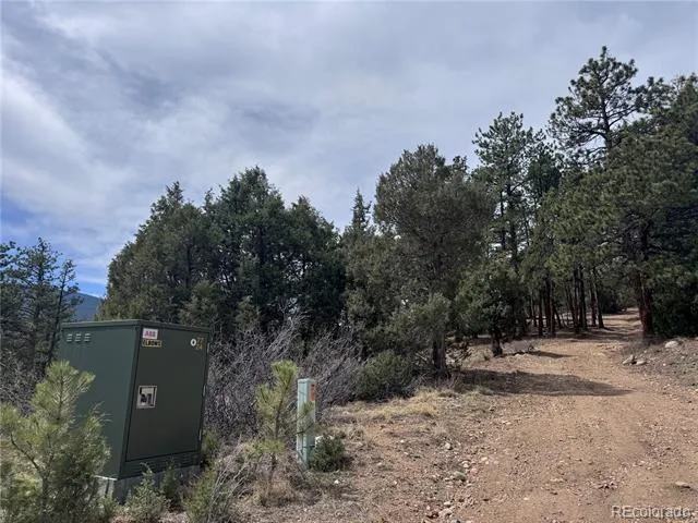 257 Wildlife Trail Idaho Springs, CO 80452