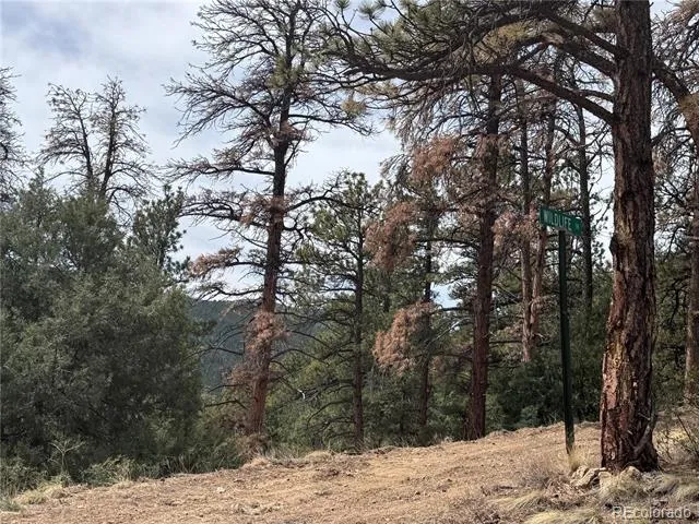 257 Wildlife Trail Idaho Springs, CO 80452