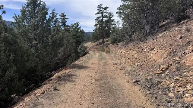257 Wildlife Trail Idaho Springs, CO 80452