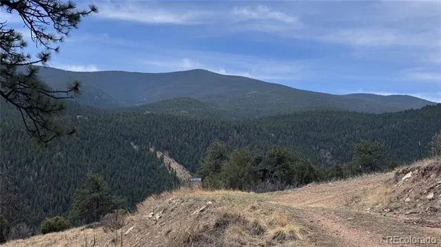 257 Wildlife Trail Idaho Springs, CO 80452