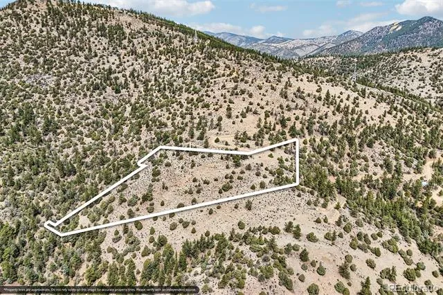 257 Wildlife Trail Idaho Springs, CO 80452