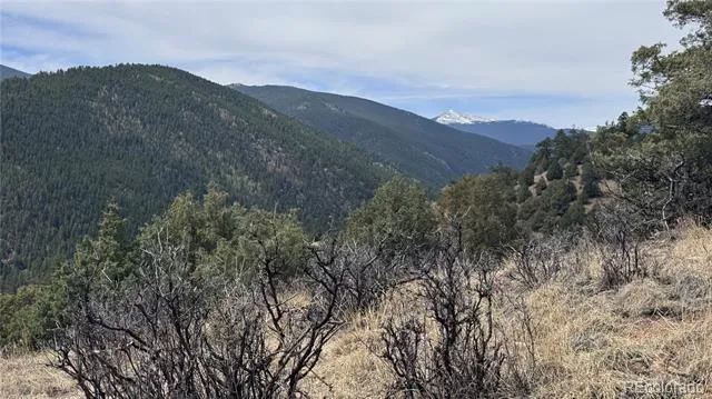 257 Wildlife Trail Idaho Springs, CO 80452