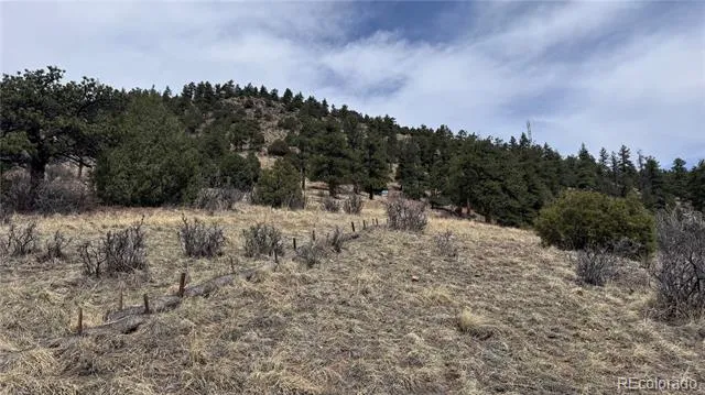 257 Wildlife Trail Idaho Springs, CO 80452