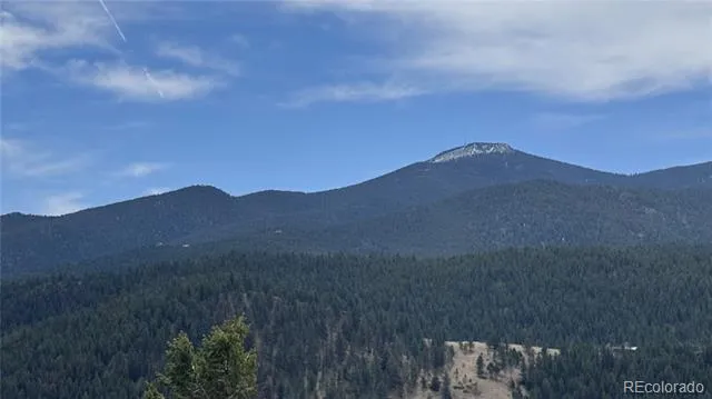 257 Wildlife Trail Idaho Springs, CO 80452