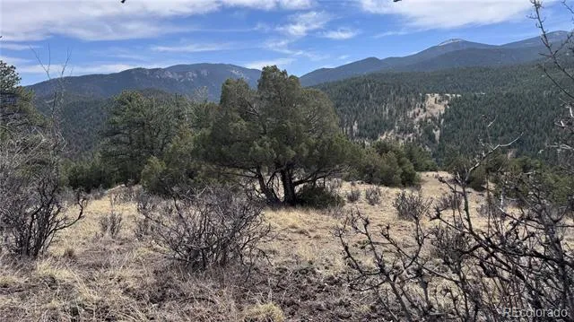 257 Wildlife Trail Idaho Springs, CO 80452