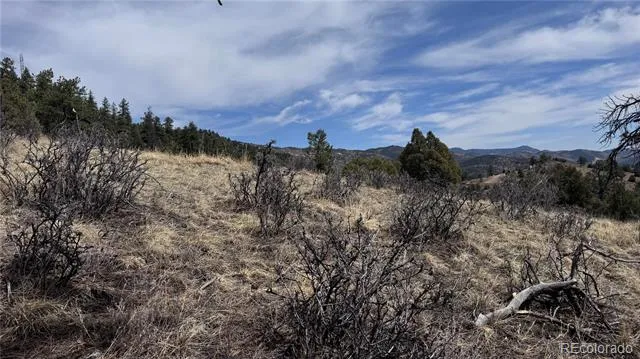 257 Wildlife Trail Idaho Springs, CO 80452