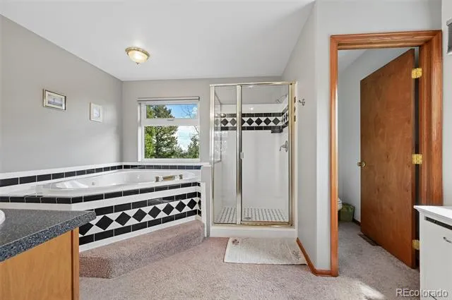 Address Not Shown Florissant, CO 80816