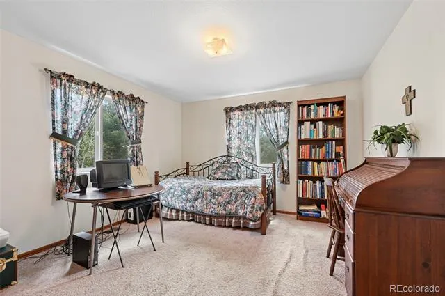 Address Not Shown Florissant, CO 80816