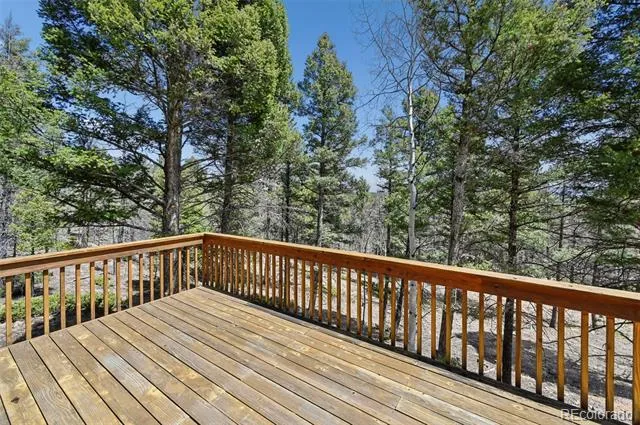 Address Not Shown Florissant, CO 80816