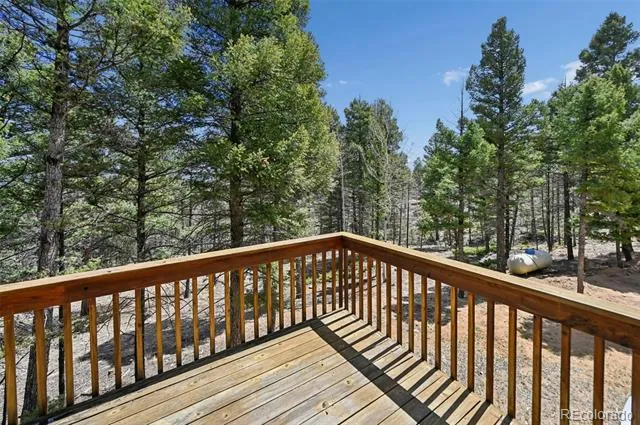 Address Not Shown Florissant, CO 80816