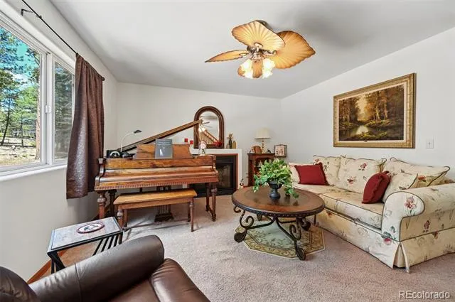 Address Not Shown Florissant, CO 80816
