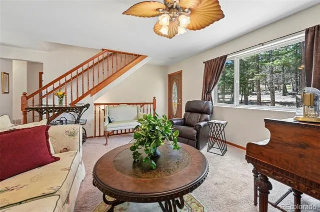 Address Not Shown Florissant, CO 80816