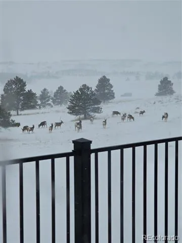 County Road 25 Lot #3 Elizabeth, CO 80107