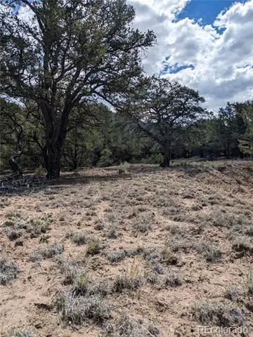 1842 Lone Pine Way Crestone, CO 81131