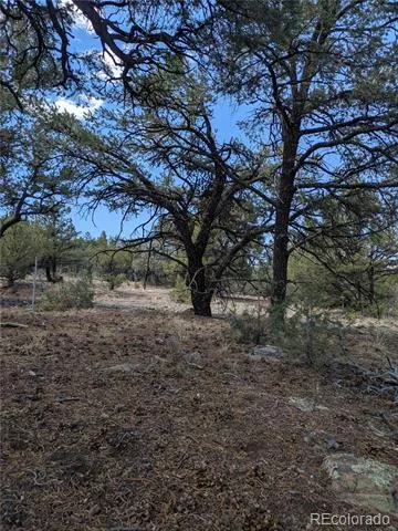 1842 Lone Pine Way Crestone, CO 81131