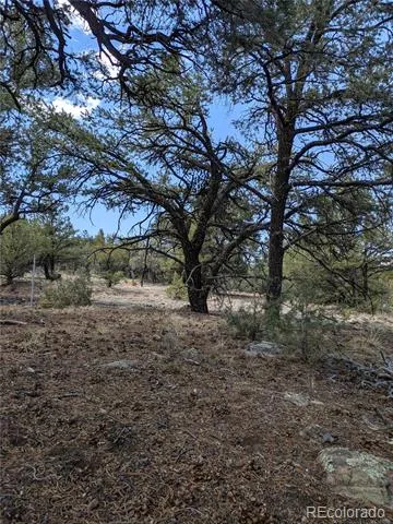 1842 Lone Pine Way Crestone, CO 81131