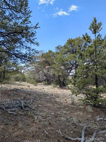 1842 Lone Pine Way Crestone, CO 81131