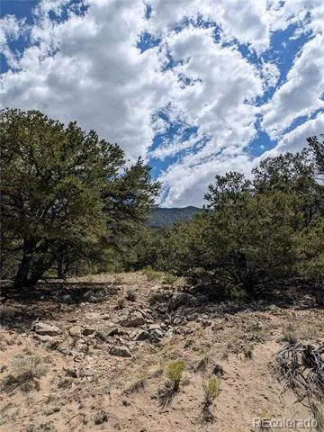 1842 Lone Pine Way Crestone, CO 81131