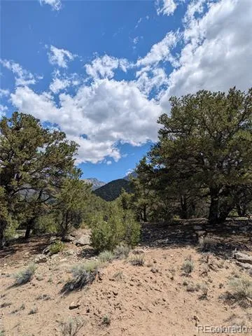 1842 Lone Pine Way Crestone, CO 81131