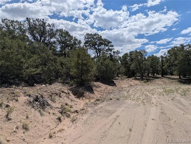 1842 Lone Pine Way Crestone, CO 81131
