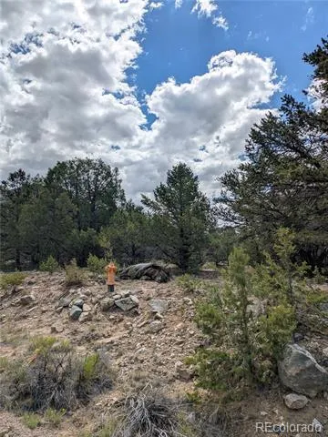 1842 Lone Pine Way Crestone, CO 81131
