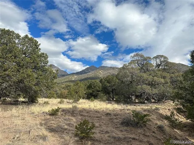 1842 Lone Pine Way Crestone, CO 81131