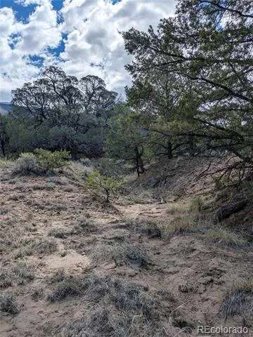 1842 Lone Pine Way Crestone, CO 81131