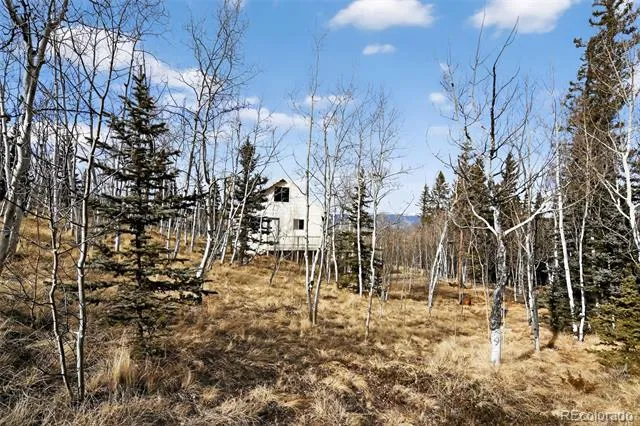 144 Outlaw Court Jefferson, CO 80456