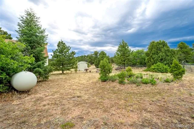 433 Antler Hill Trail Canon City, CO 81212