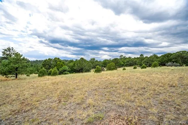 433 Antler Hill Trail Canon City, CO 81212