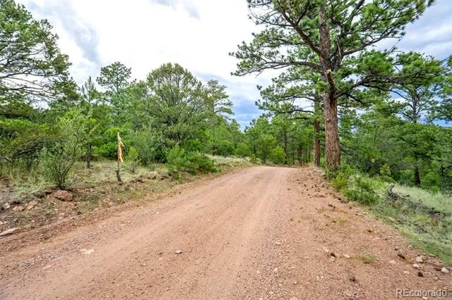 433 Antler Hill Trail Canon City, CO 81212