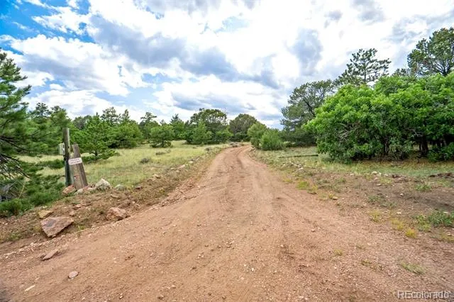 433 Antler Hill Trail Canon City, CO 81212
