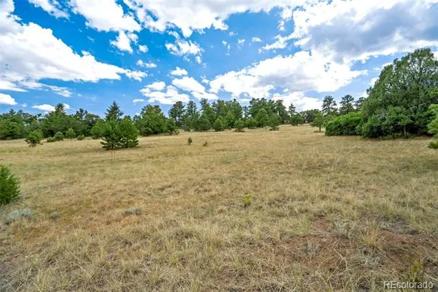 433 Antler Hill Trail Canon City, CO 81212
