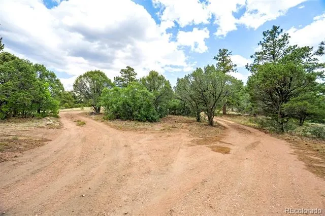 433 Antler Hill Trail Canon City, CO 81212