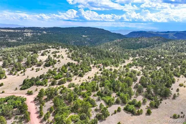 433 Antler Hill Trail Canon City, CO 81212