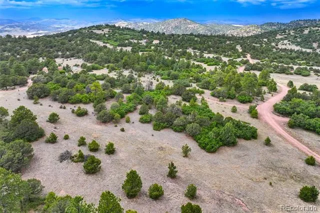 433 Antler Hill Trail Canon City, CO 81212