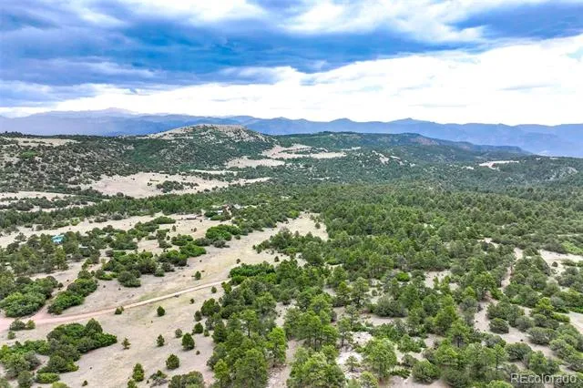433 Antler Hill Trail Canon City, CO 81212