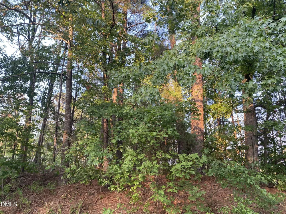 2417 Holiday Drive Raleigh, NC 27610