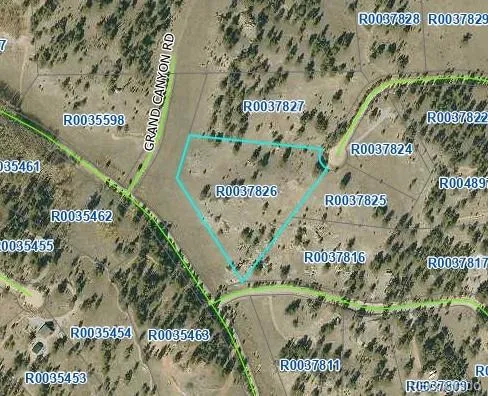 33 Jasper Way Hartsel, CO 80449