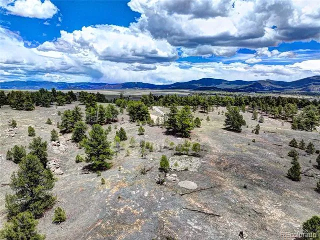 33 Jasper Way Hartsel, CO 80449
