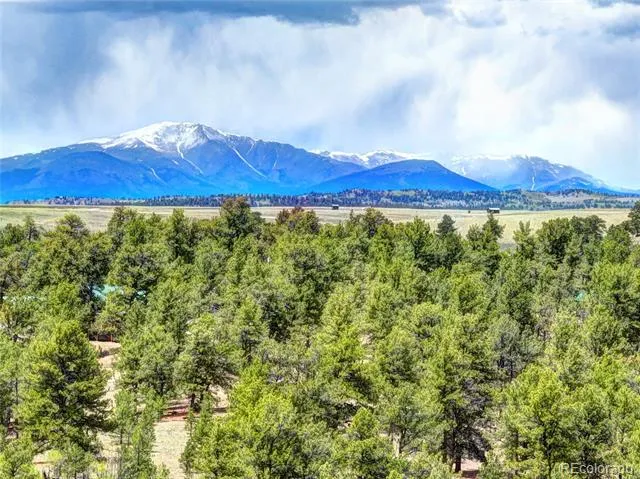 33 Jasper Way Hartsel, CO 80449