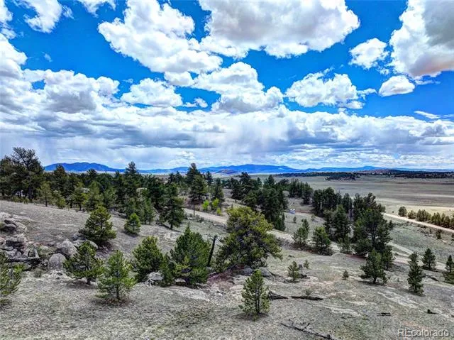 33 Jasper Way Hartsel, CO 80449