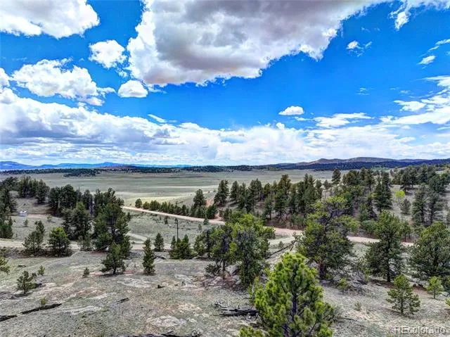 33 Jasper Way Hartsel, CO 80449